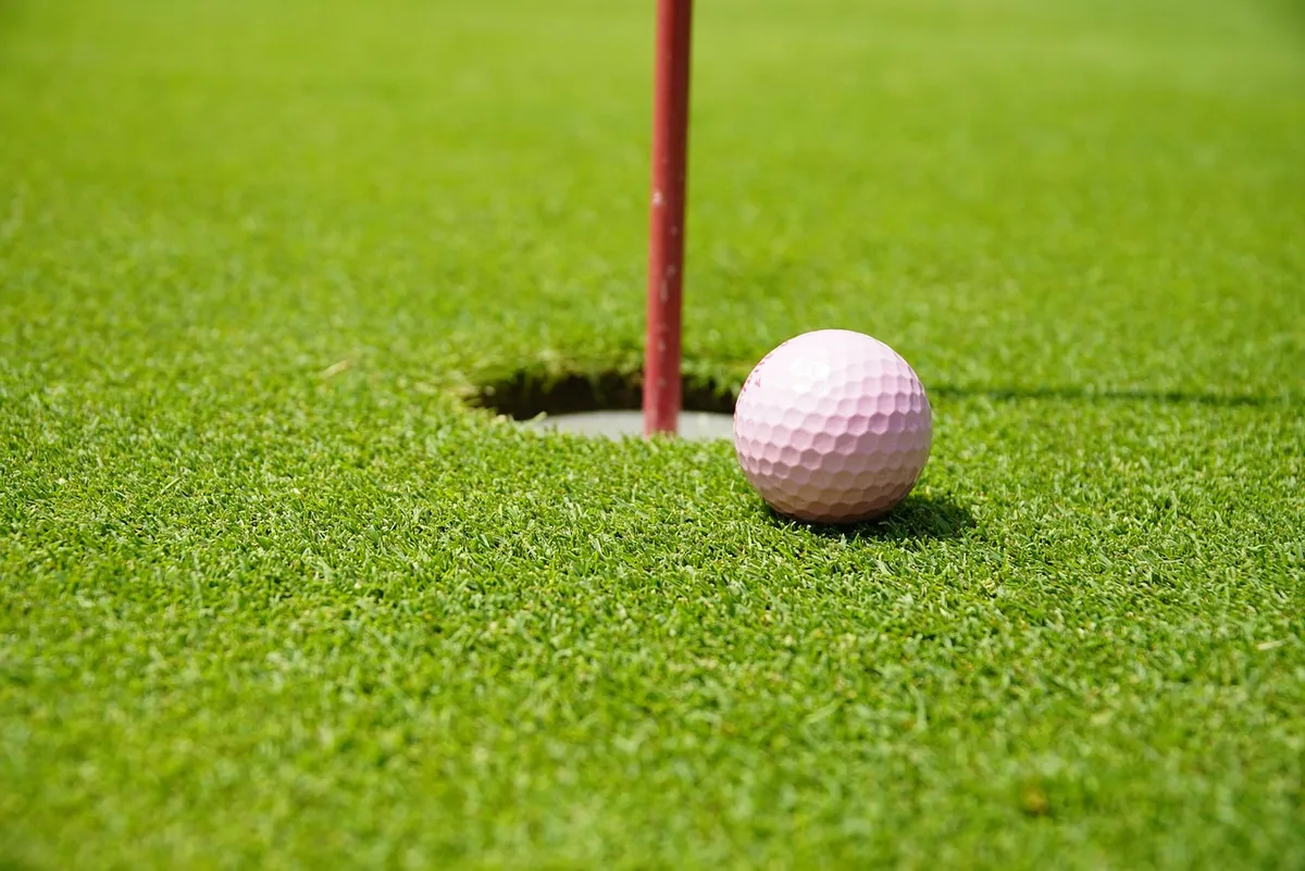 배구, 골프, 자연, 구멍, 흙, Putting, 경기, 경기, 전략